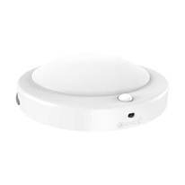 lumière LED